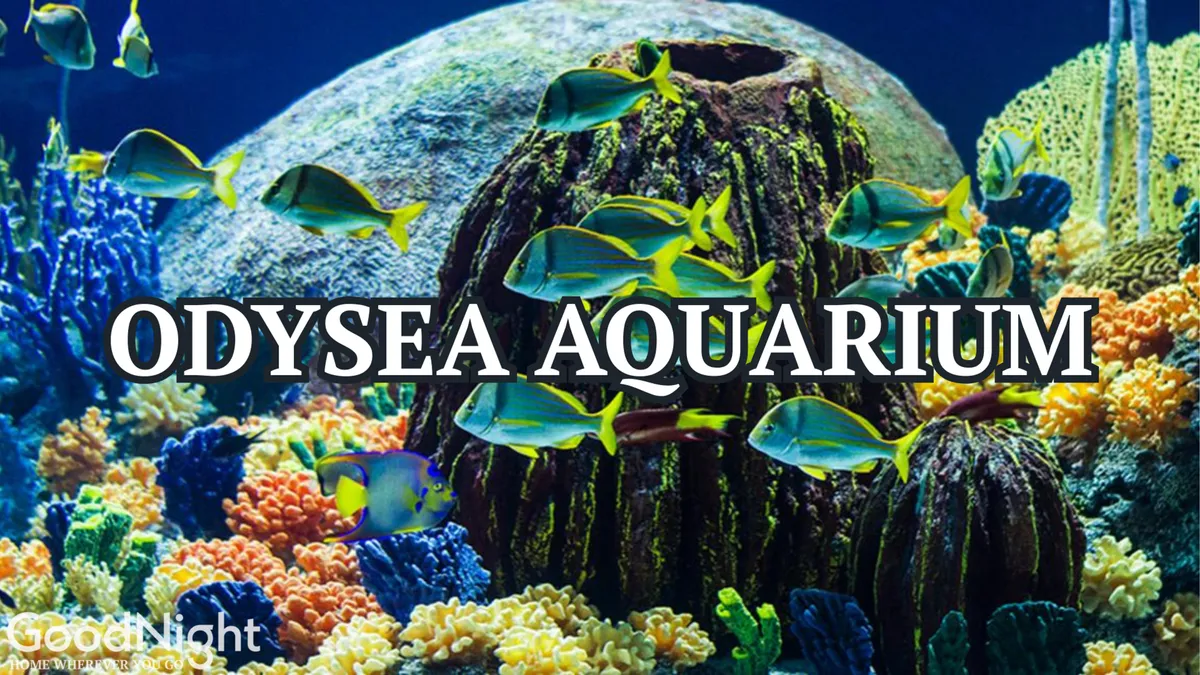 A vibrant aquarium scene teeming with colorful coral formations and various species of fish swimming around a large rock formation, evoking a sense of discovery and wonder for children and adults alike.