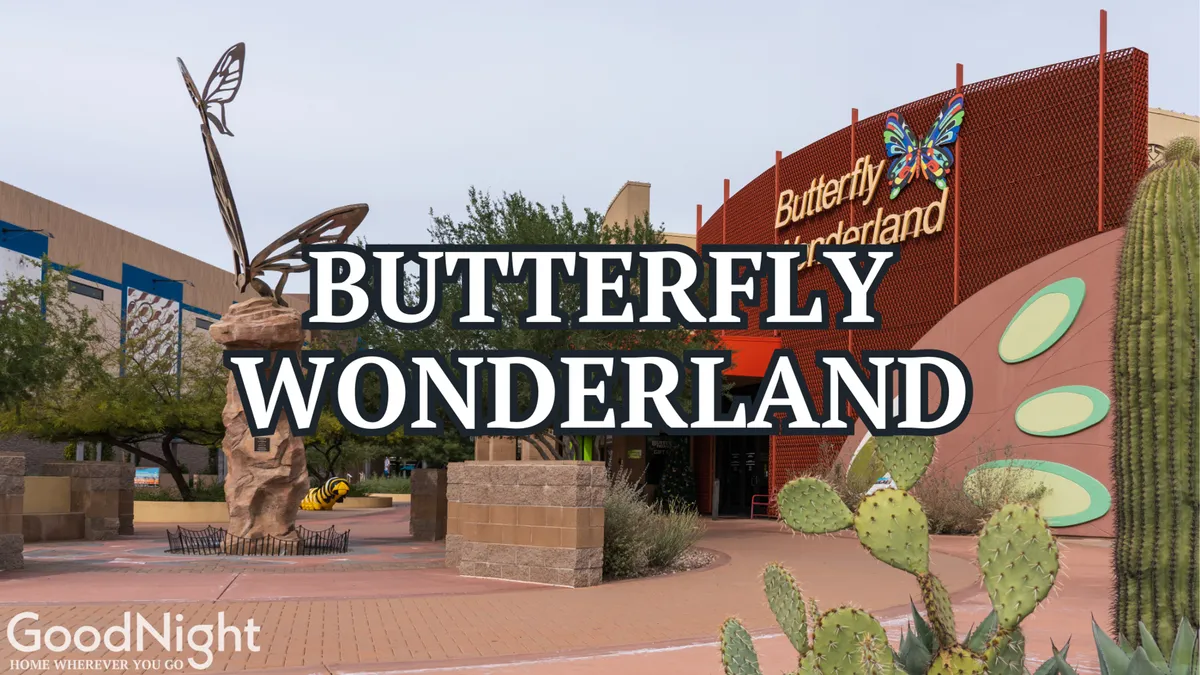 The whimsical exterior of Butterfly Wonderland, featuring a striking butterfly sculpture, cacti, and cheerful signage, set against a clear sky. The scene hints at the joy and discovery awaiting inside for families and children.